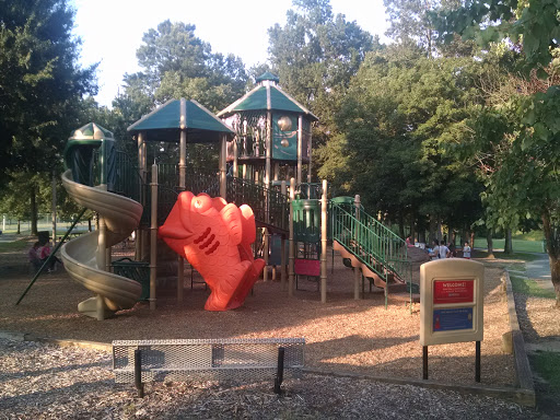 Playground Joe Davidson Park