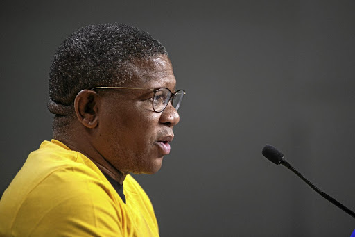 Fikile Mbalula's 2016 family holiday trip to Dubai has come back to haunt him.