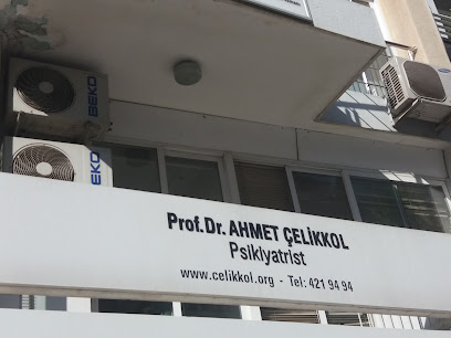 Prof. Dr. Ahmet Çelikkol, Psikiyatrist