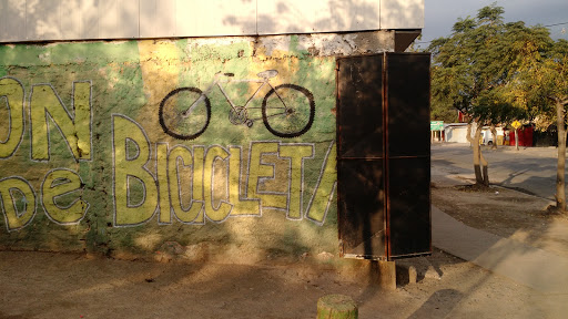 Bicicletas