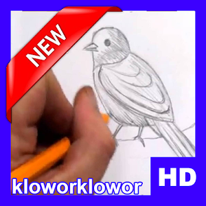 Download How to Draw a Bird HD For PC Windows and Mac