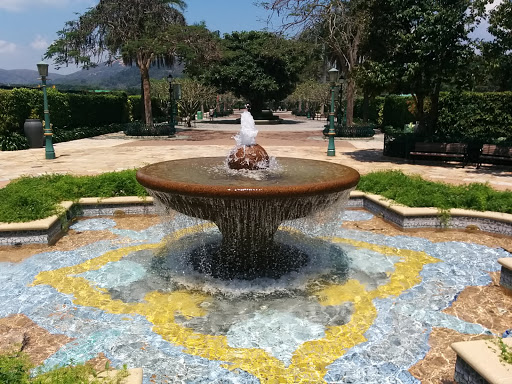 Disneyland Fountain