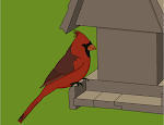 Cardinal