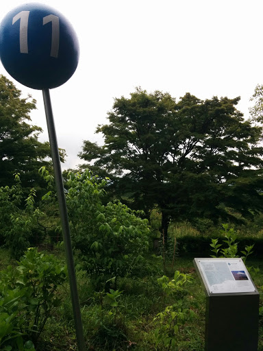 富士山百景 第11ピン 岩本山公園