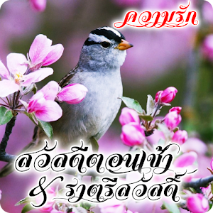 Download Thai Good Morning & Good Night Wishes Love For PC Windows and Mac