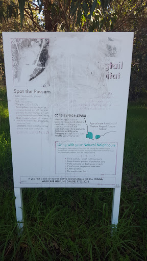 Ringtail Possum Information Board 2#