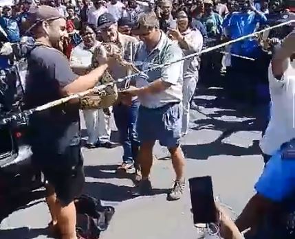 A crowd gathers in East London as an endangered red tail boa constrictor python is taken out of the car after the occupants of the car were arrested.