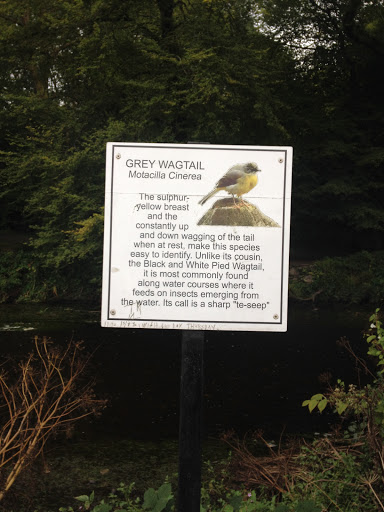 Grey Wagtail Nature Reserve Sign