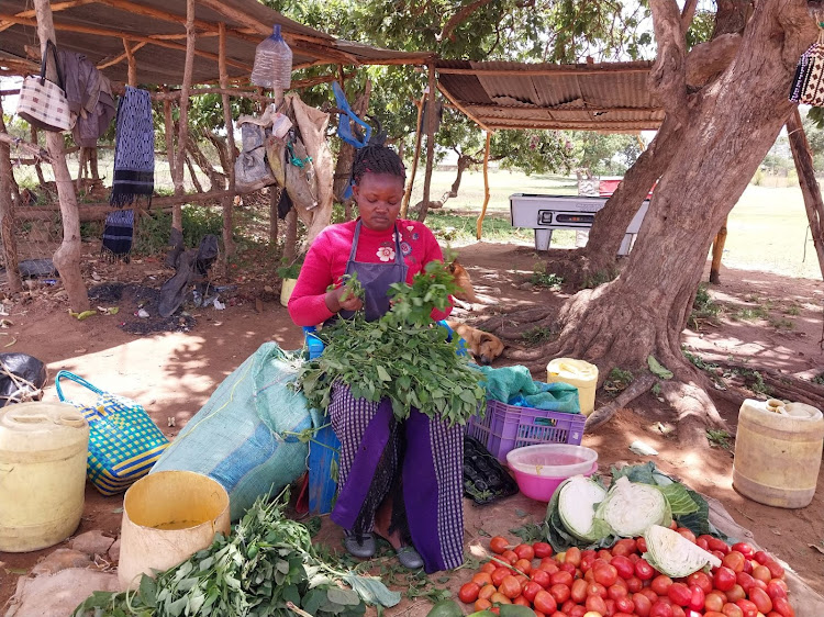 Winfred Kithuke sells groceries under a tree at Yathui shopping centre in Mwala, Machakos County on April 1, 2024.
