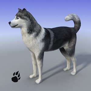 Snow Dog Survival Simulator unlimted resources