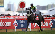 Winner THE CONGLOMERATE (AUS) (Jockey) Piere Strydom (Trainer) Joey Ramsden during the 2016 Vodacom Durban July at Greyville Racecourse on July 02, 2016 in Durban, South Africa