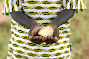 A new Black Sash research report on child hunger has found that mothers are going without food to shield children from starvation. Stock photo.