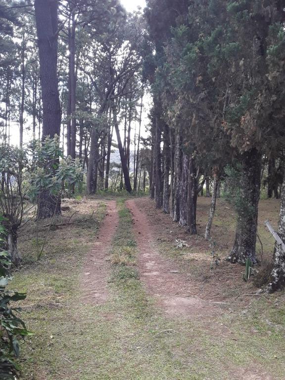 Chácaras à venda Jardim Estância Brasil