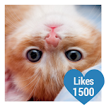 Likes Photo Editor Apk