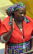 EFF parliamentarian Nokulunga Primrose Sonti in the national assembly.