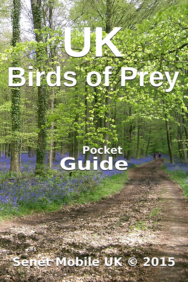 Android application Pocket Guide UK Birds of Prey screenshort