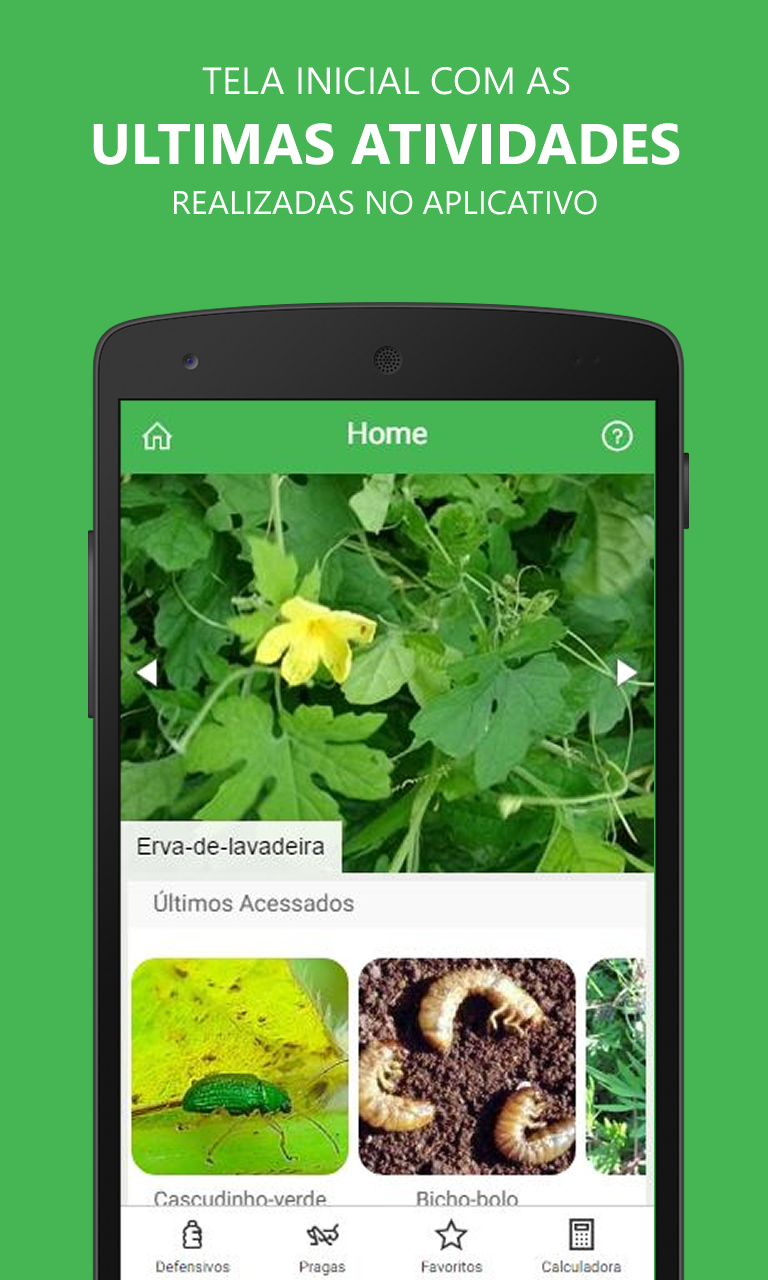 Android application Pests Grape screenshort