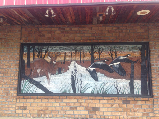 Wildlife Mural