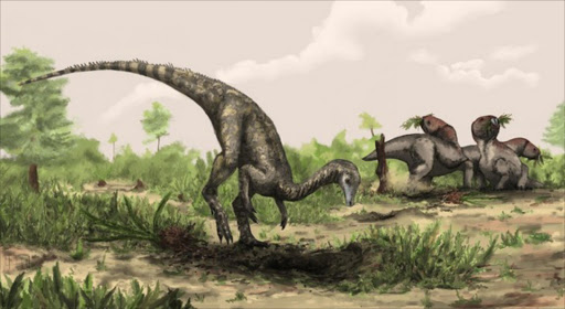 Fossilised bones of Nyasasaurus parringtoni unearthed by a British palaeontologist in colonial Tanzania in the 1930s may be those of the oldest dinosaur ever found, researchers reported.