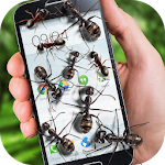 Ants on screen funny joke Apk