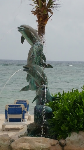 Dolphins Fountain 