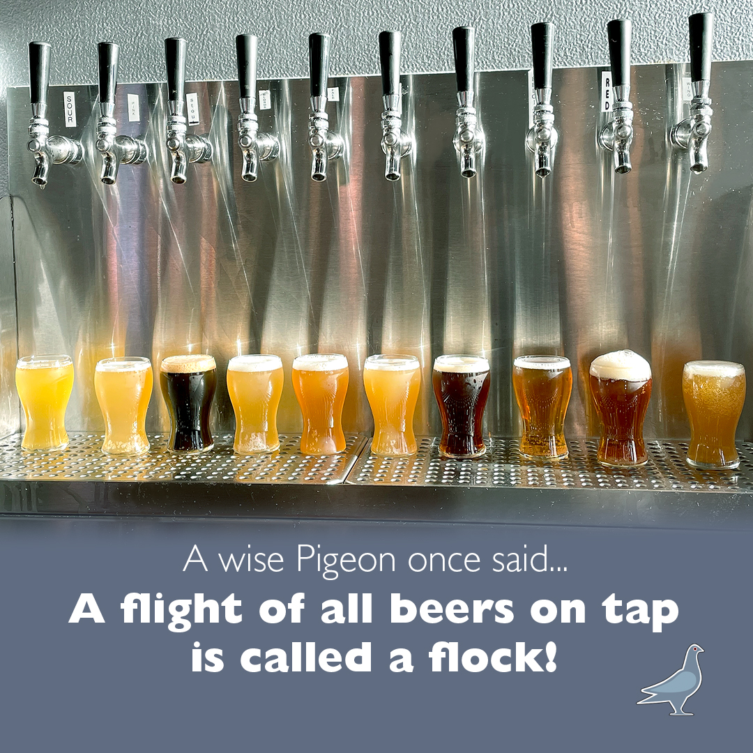 A tasting of all available draft beers is called a "flock". Cheers!