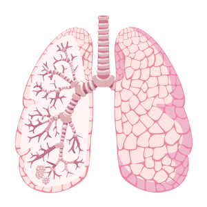Download Asthma Assessment For PC Windows and Mac