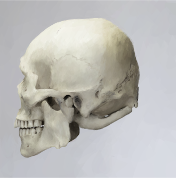 Skull 21