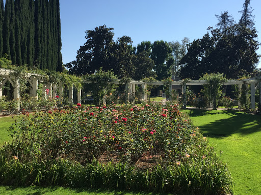 Lacy Park Rose Arbor