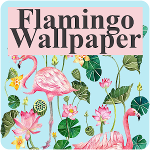 Download Flamingo Wallpaper For PC Windows and Mac