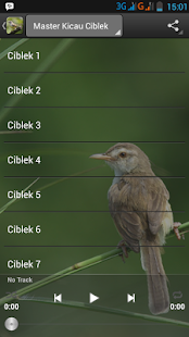 How to install Master Kicau Ciblek lastet apk for laptop