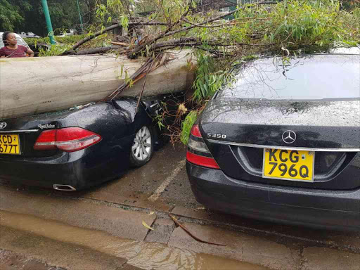 Cars damaged by the fall of a tree at the Serena Hotel parking lot in Nairobi, March 17, 2018. /COURTESY