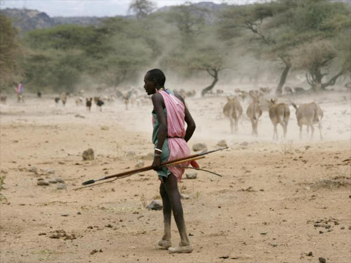 A Maasai herdsman with his livestock during a severe drought in the country. FILE