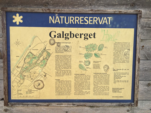 Naturreservat Galgberget