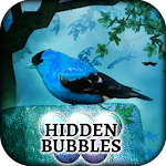 Hidden Bubbles: Spring Garden Apk