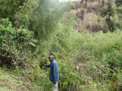 Daniel Koskei, an Ogiek fire scout, along a patrol path in the Logoman Forest near Logoman, Kenya./REUTERS