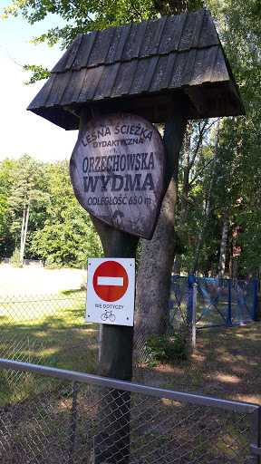 Orzechowska Wydwa