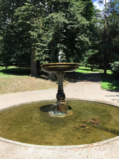 Brunnen Im Park 