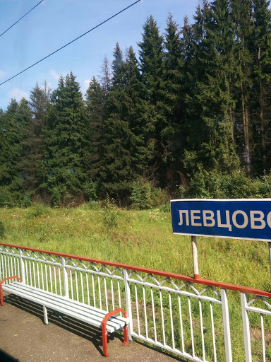 Станция Левцово