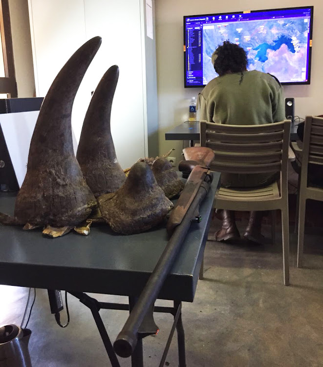 These four rhino horns, hacked from the heads of two white rhinos on the border between South Africa and Mozambique, were recovered at the weekend after a 60km hot-pursuit operation by rangers from both nations.