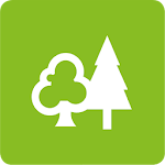 Forest Xplorer Apk