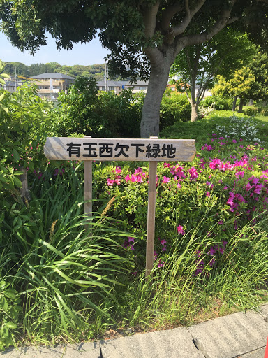 有玉西欠下緑地 看板 (浜松市東区有玉西町交差点)