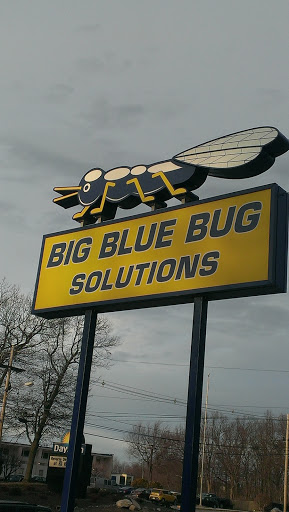 Blue Bug