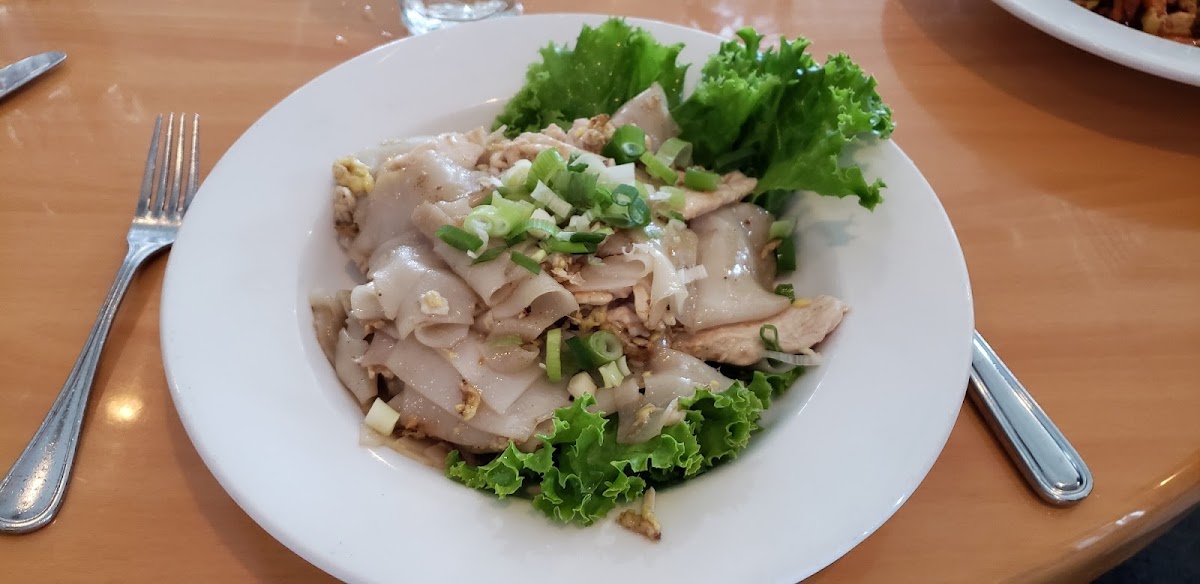 Chicken with rice noodles and lettuce