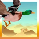 Sahara Desert Bird Simulation Apk