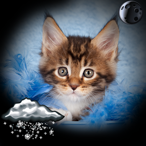 Download Kittens Clock Weather Widget For PC Windows and Mac