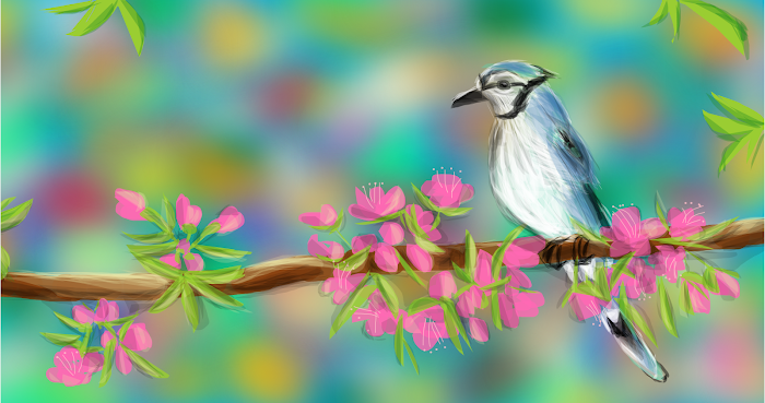 Blue Jay