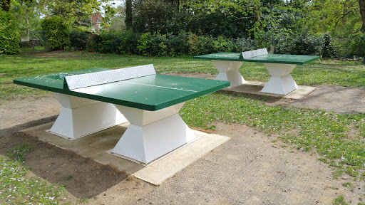 Outdoor Table Tennis 