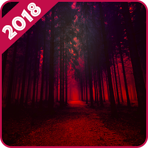 Download Forest Wallpaper For PC Windows and Mac