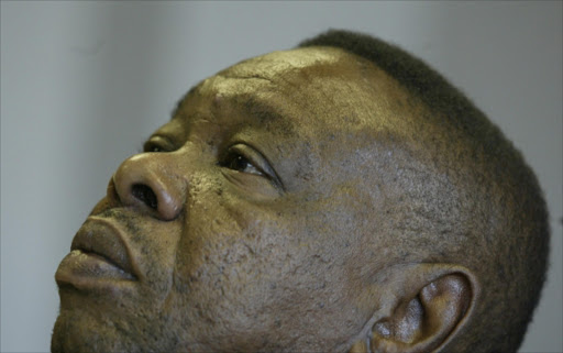 Higher Education Minister Blade Nzimande. File photo.